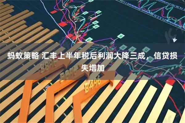 蚂蚁策略 汇丰上半年税后利润大降三成，信贷损失增加