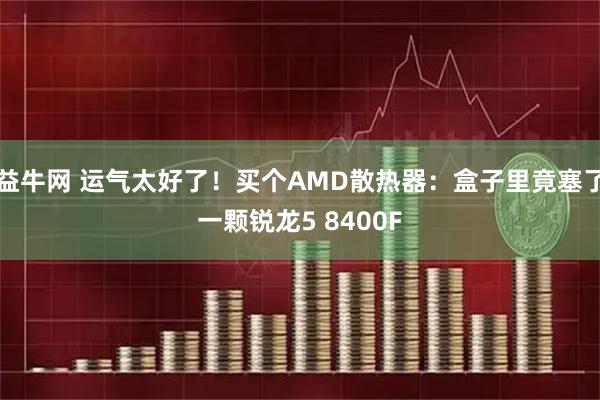 益牛网 运气太好了！买个AMD散热器：盒子里竟塞了一颗锐龙5 8400F